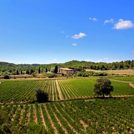 Domaine De Palats Pensionat Laure-Minervois Eksteriør billede