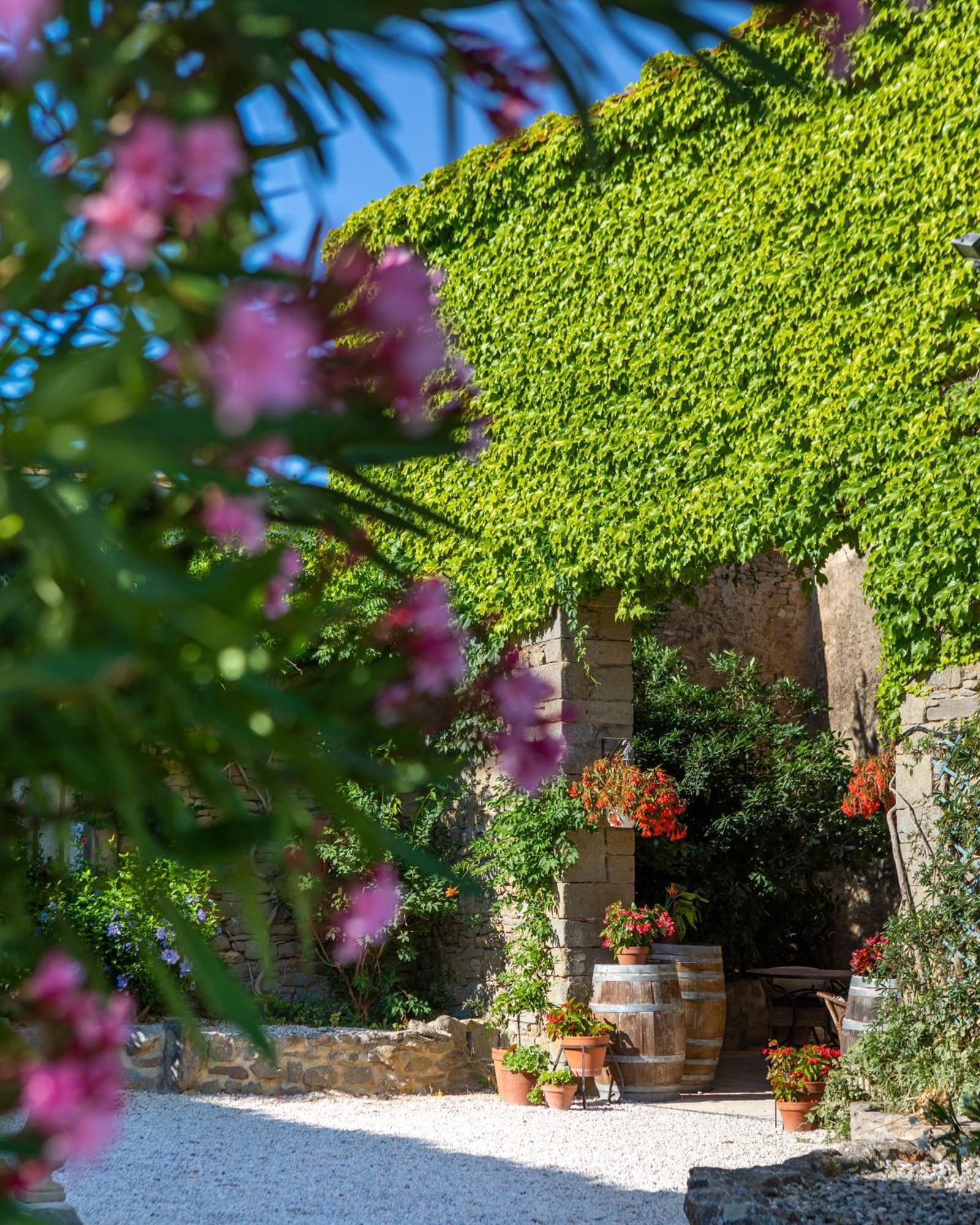 Domaine De Palats Pensionat Laure-Minervois Eksteriør billede
