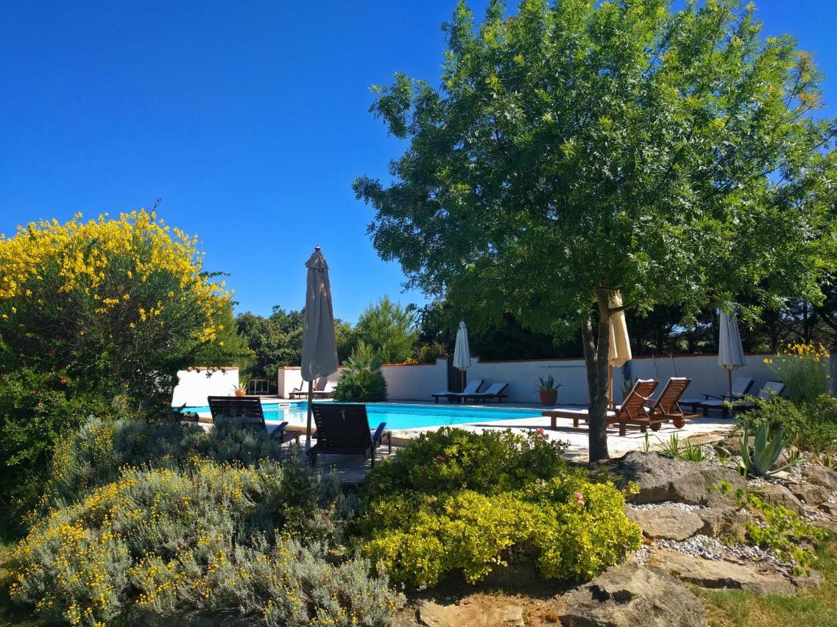 Domaine De Palats Pensionat Laure-Minervois Eksteriør billede