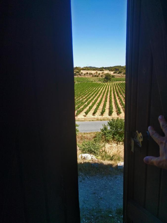 Domaine De Palats Pensionat Laure-Minervois Eksteriør billede